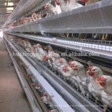 Подгонянная гальванизированная клетка фермы цыпленка для сбывания